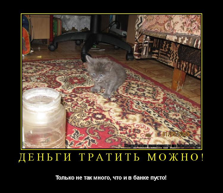 Деньги тратить можно! Только не так много, что и в банке пусто!... Котоматрица: Деньги тратить можно! Только не так много, что и в банке пусто!