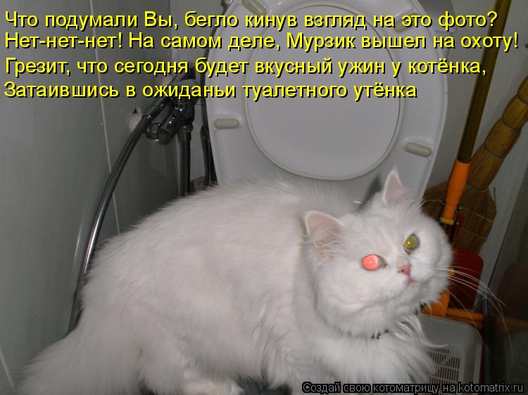 Что подумали Вы, бегло кинув взгляд на это фото? Нет-нет-нет! На самом деле, Мурзик вышел на охоту! Г... Котоматрица: Что подумали Вы, бегло кинув взгляд на это фото? Нет-нет-нет! На самом деле, Мурзик вышел на охоту! Грезит, что сегодня будет вкусный ужин у ко