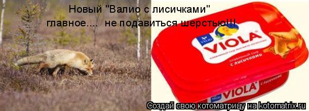 Котоматрица: Новый "Валио с лисичками" главное....  не подавиться шерстью!!!
