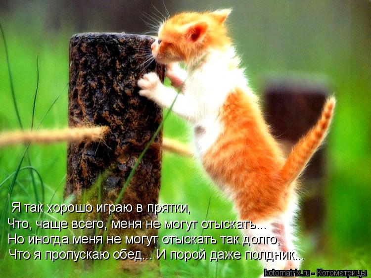 Котоматрица: Я так хорошо играю в прятки, Что, чаще всего, меня не могут отыскать... Но иногда меня не могут отыскать так долго, Что я пропускаю обед... И пор