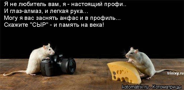 Я не любитель вам, я - настоящий профи.. И глаз-алмаз, и легкая рука... Могу я вас заснять анфас и в ... Котоматрица: Я не любитель вам, я - настоящий профи.. И глаз-алмаз, и легкая рука... Могу я вас заснять анфас и в профиль... Скажите "СЫР" - и память на века!