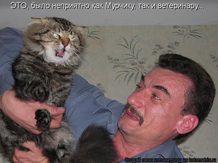 Котоматрица: ЭТО, было неприятно как Мурчику, так и ветеринару...