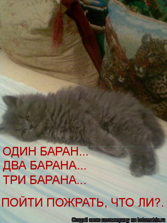 Котоматрица: ОДИН БАРАН... ДВА БАРАНА... ТРИ БАРАНА... ПОЙТИ ПОЖРАТЬ, ЧТО ЛИ?.