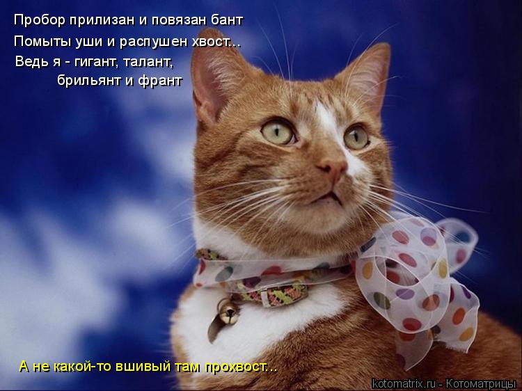 Котоматрица: Пробор прилизан и повязан бант Помыты уши и распушен хвост... Ведь я - гигант, талант, брильянт и франт А не какой-то вшивый там прохвост...