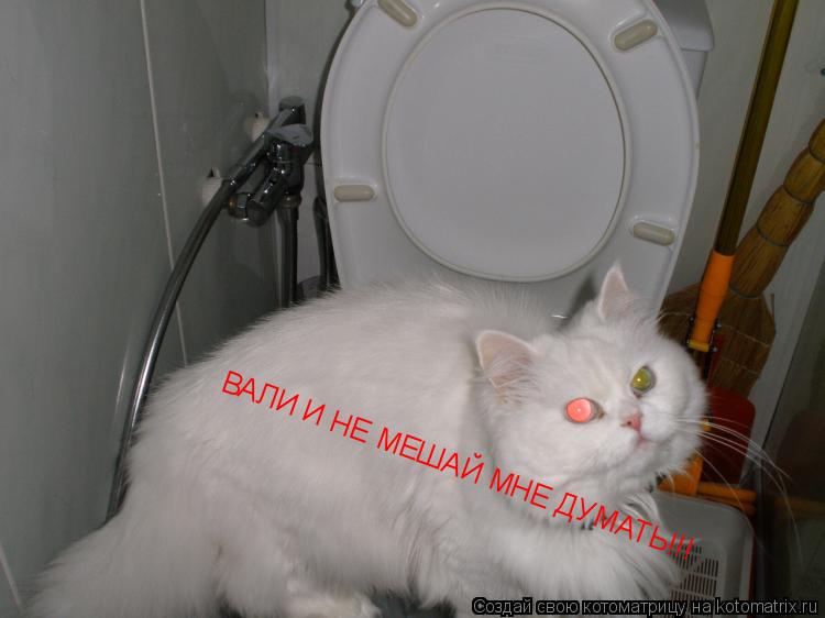 Котоматрица: ВАЛИ И НЕ МЕШАЙ МНЕ ДУМАТЬ!!!