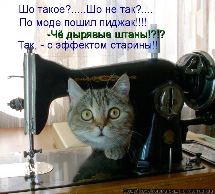 Котоматрица: Шо такое?.....Шо не так?.... По моде пошил пиджак!!!! -Чё дырявые штаны!?!? Так, - с эффектом старины!!