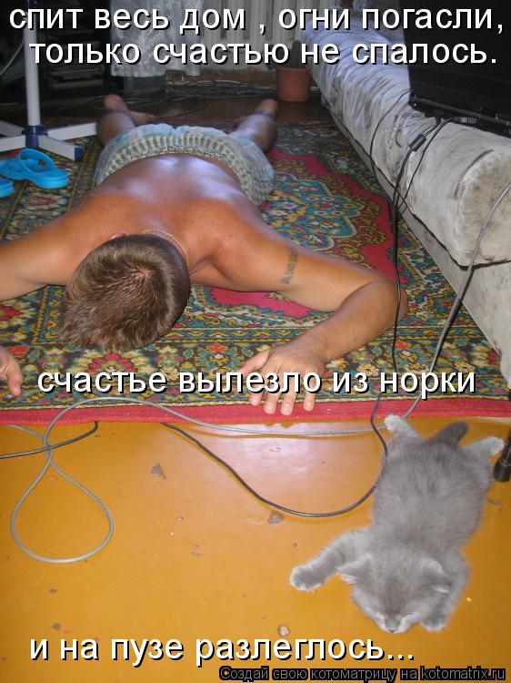Котоматрица: спит весь дом , огни погасли,  только счастью не спалось. счастье вылезло из норки и на пузе разлеглось...