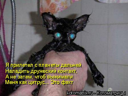 Котоматрица: Я прилетел с планеты дальней Наладить дружеский контакт, А не затем, чтоб выжимали Меня как цитрус... Это факт