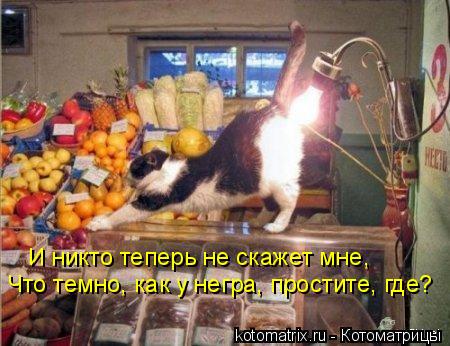 Котоматрица: И никто теперь не скажет мне, Что темно, как у негра, простите, где?