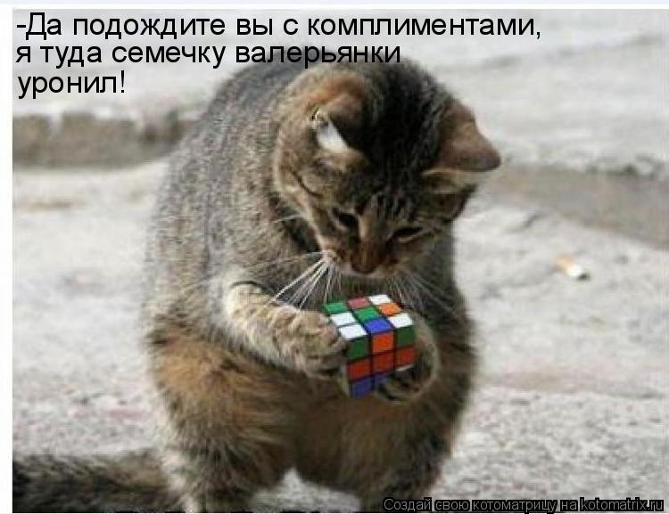 -Да подождите вы с комплиментами, я туда семечку валерьянки уронил!... Котоматрица: -Да подождите вы с комплиментами, я туда семечку валерьянки уронил!
