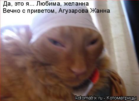 Котоматрица: Да, это я... Любима, желанна Вечно с приветом, Агузарова Жанна