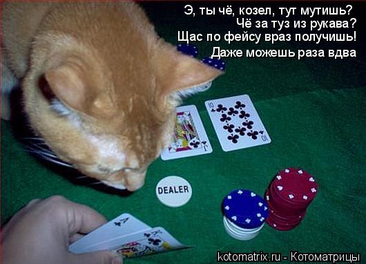 Котоматрица: Э, ты чё, козел, тут мутишь? Чё за туз из рукава? Щас по фейсу враз получишь! Даже можешь раза вдва