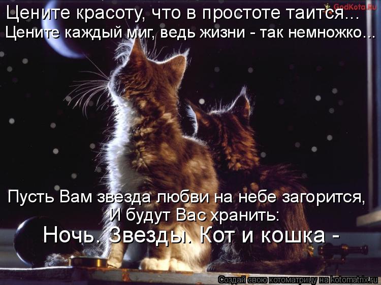 Котоматрица: Цените красоту, что в простоте таится... Цените каждый миг, ведь жизни - так немножко... Пусть Вам звезда любви на небе загорится, И будут Вас х