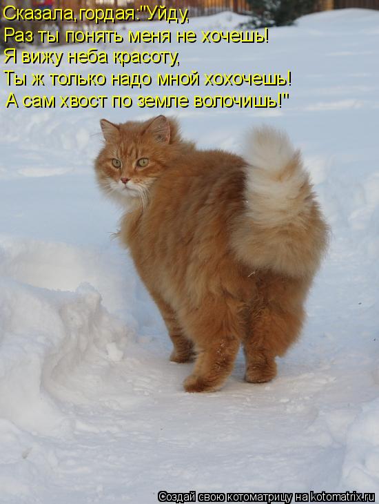 Котоматрица: Сказала,гордая:"Уйду, Раз ты понять меня не хочешь! Я вижу неба красоту, Ты ж только надо мной хохочешь! А сам хвост по земле волочишь!"