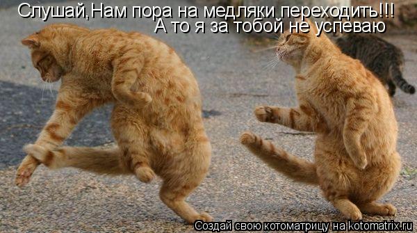 Котоматрица: Слушай,Нам пора на медляки переходить!!! А то я за тобой не успеваю