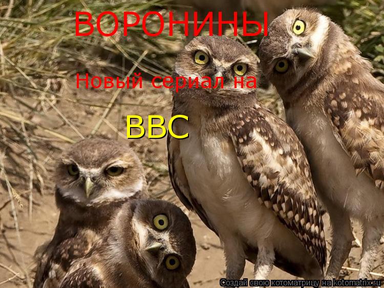 Котоматрица: ВОРОНИНЫ Новый сериал на BBC