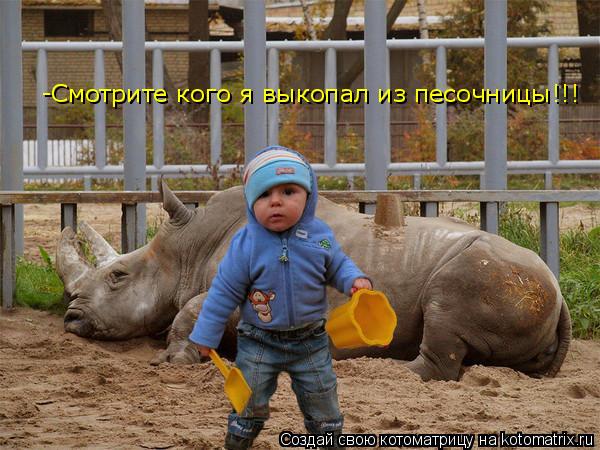 Котоматрица: -Смотрите кого я выкопал из песочницы!!!