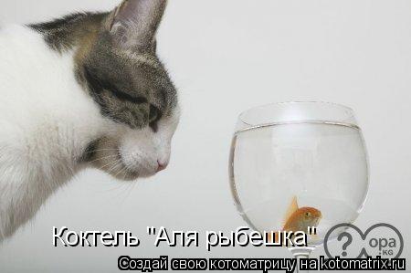 Котоматрица: Коктель "Аля рыбешка"
