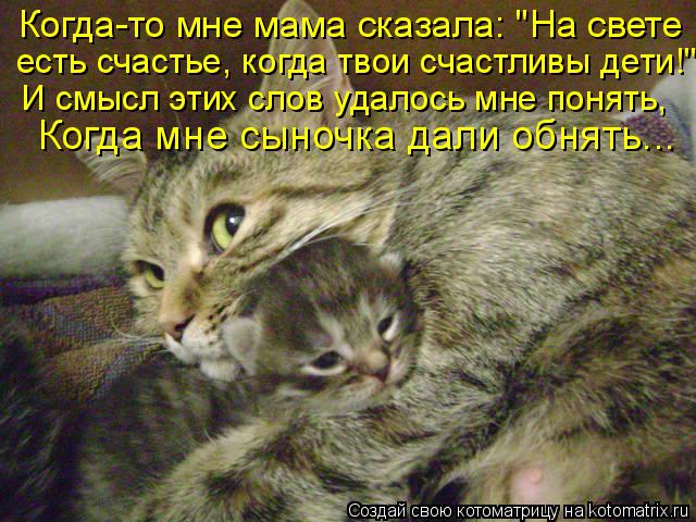 Котоматрица: Когда-то мне мама сказала: "На свете есть счастье, когда твои счастливы дети!" И смысл этих слов удалось мне понять, Когда мне сыночка дали об