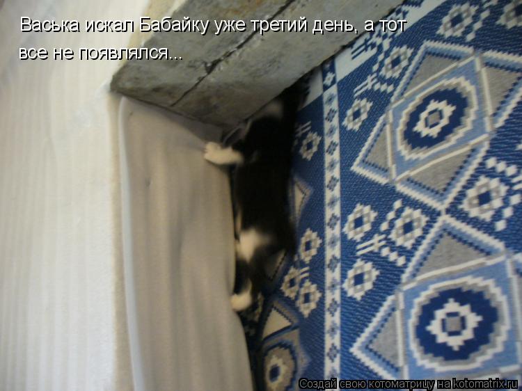 Васька искал Бабайку уже третий день, а тот все не появлялся...... Котоматрица: Васька искал Бабайку уже третий день, а тот все не появлялся...