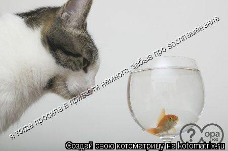 я тогда просила в привезти немного, забыв про воспламенение... Котоматрица: я тогда просила в привезти немного, забыв про воспламенение