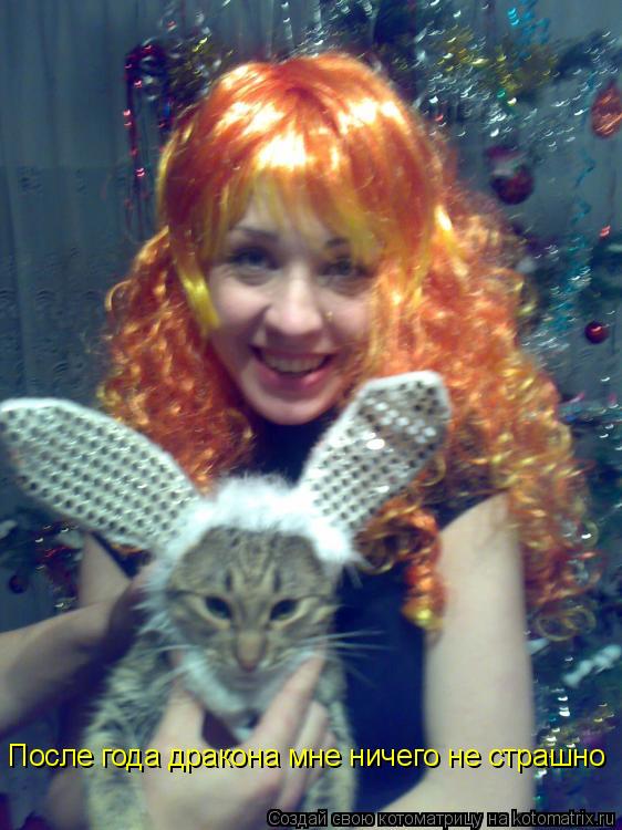 Котоматрица: После года дракона мне ничего не страшно