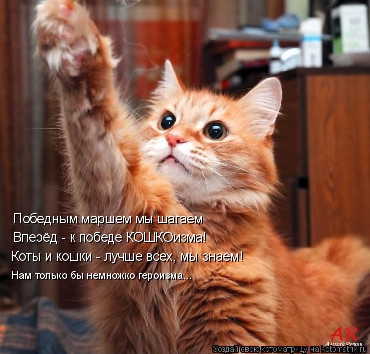 Победным маршем мы шагаем Вперёд - к победе КОШКОизма! Коты и кошки - лучше всех, мы знаем! Нам тольк... Котоматрица: Победным маршем мы шагаем Вперёд - к победе КОШКОизма! Коты и кошки - лучше всех, мы знаем! Нам только бы немножко героизма...