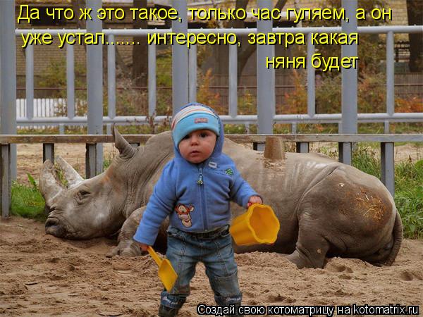 Да что ж это такое, только час гуляем, а он уже устал....... интересно, завтра какая няня будет... Котоматрица: Да что ж это такое, только час гуляем, а он уже устал....... интересно, завтра какая няня будет
