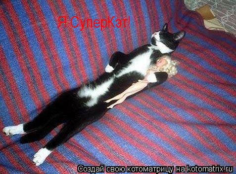 Я СуперКэт!... Котоматрица: Я СуперКэт!