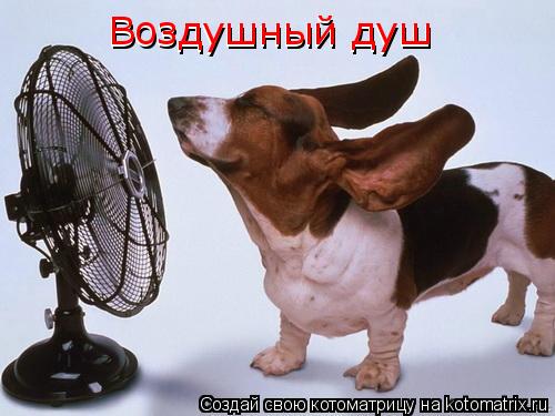 Воздушный душ Воздушный душ... Котоматрица: Воздушный душ Воздушный душ