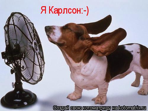 Я Карлсон:-)... Котоматрица: Я Карлсон:-)