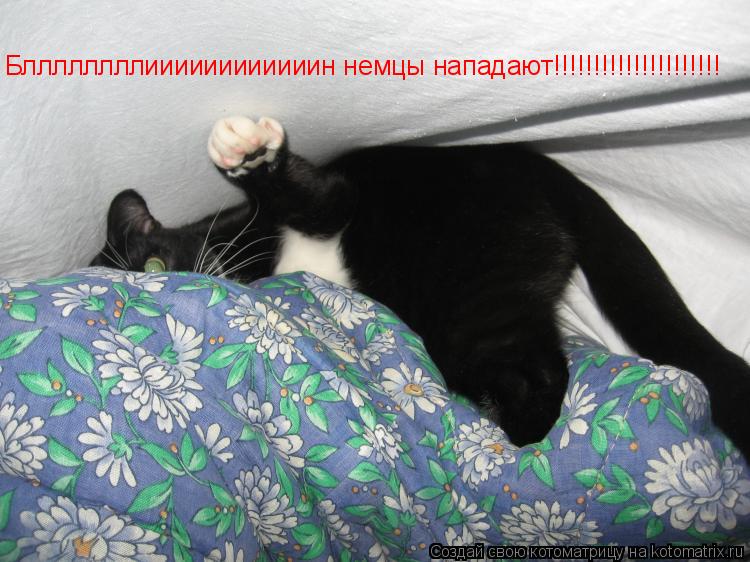 Бллллллллиииииииииииин немцы нападают!!!!!!!!!!!!!!!!!!!!!... Котоматрица: Бллллллллиииииииииииин немцы нападают!!!!!!!!!!!!!!!!!!!!!