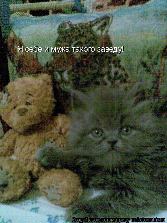Я себе и мужа такого заведу!... Котоматрица: Я себе и мужа такого заведу!