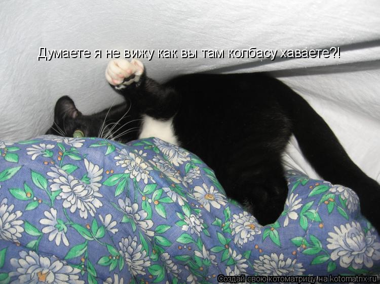 Котоматрица: Думаете я не вижу как вы там колбасу хаваете?!