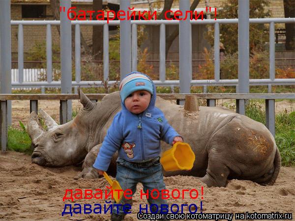 Котоматрица: "батарейки сели"! давайте нового! давайте нового!