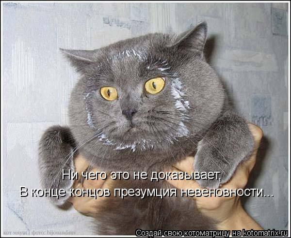 Котоматрица: Ни чего это не доказывает, В конце концов презумция невеновности...