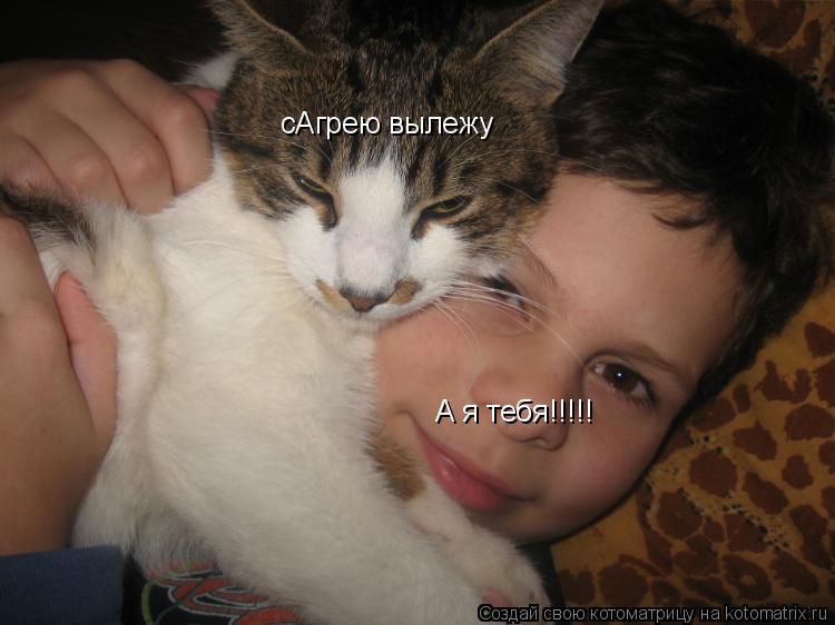 сАгрею вылежу А я тебя!!!!!... Котоматрица: сАгрею вылежу А я тебя!!!!!