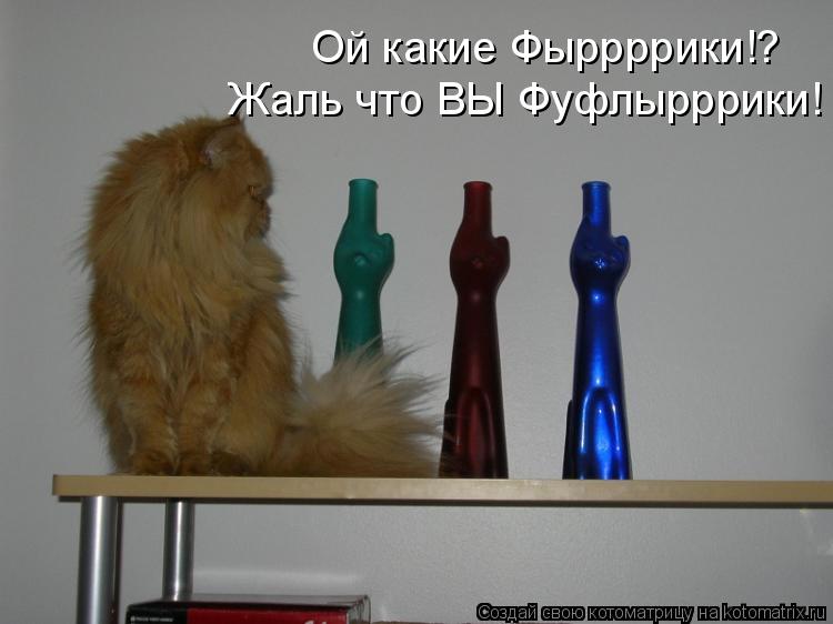 Ой какие Фыррррики!? Жаль что ВЫ Фуфлырррики!... Котоматрица: Ой какие Фыррррики!? Жаль что ВЫ Фуфлырррики!