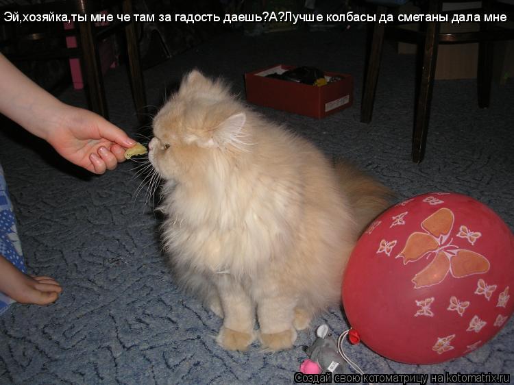 Эй,хозяйка,ты мне че там за гадость даешь?А?Лучше колбасы да сметаны дала мне... Котоматрица: Эй,хозяйка,ты мне че там за гадость даешь?А?Лучше колбасы да сметаны дала мне