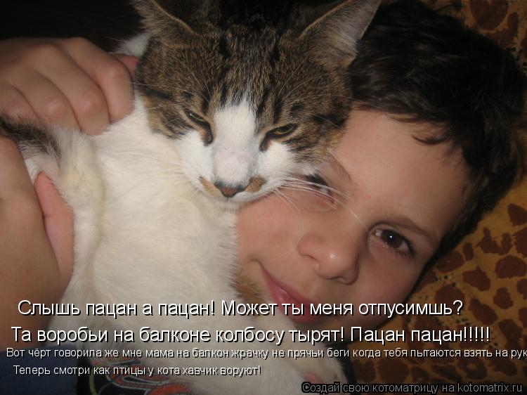 Слышь пацан а пацан! Может ты меня отпусимшь? Та воробьи на балконе колбосу тырят! Пацан пацан!!!!! В... Котоматрица: Слышь пацан а пацан! Может ты меня отпусимшь? Та воробьи на балконе колбосу тырят! Пацан пацан!!!!! Вот чёрт говорила же мне мама на балкон жра