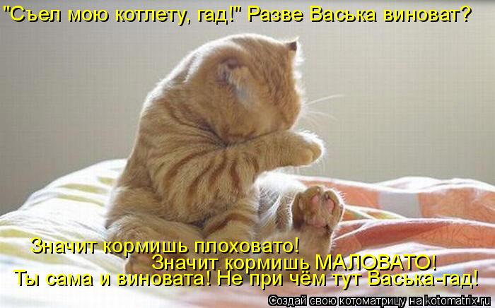 "Съел мою котлету, гад!" Разве Васька виноват? Ты сама и виновата! Не при чём тут Васька-гад! Значит ... Котоматрица: "Съел мою котлету, гад!" Разве Васька виноват? Ты сама и виновата! Не при чём тут Васька-гад! Значит кормишь МАЛОВАТО! Значит кормишь плоховат