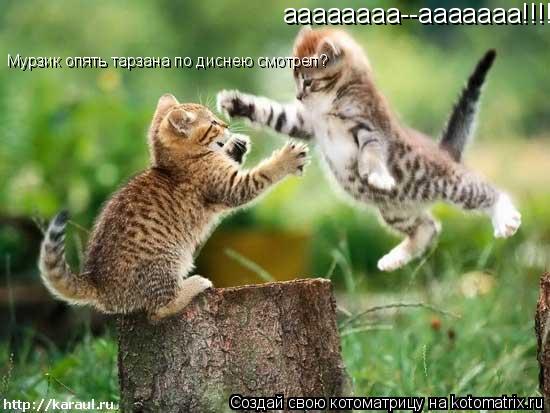 аааааааа--ааааааа!!!! Мурзик опять тарзана по диснею смотрел?... Котоматрица: аааааааа--ааааааа!!!! Мурзик опять тарзана по диснею смотрел?