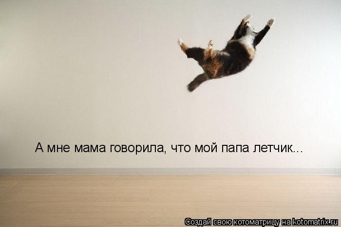 А мне мама говорила, что мой папа летчик...... Котоматрица: А мне мама говорила, что мой папа летчик...