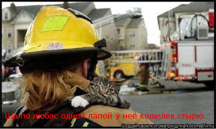 Ща по любас одной лапой у неё кошелек стырю... Котоматрица: Ща по любас одной лапой у неё кошелек стырю