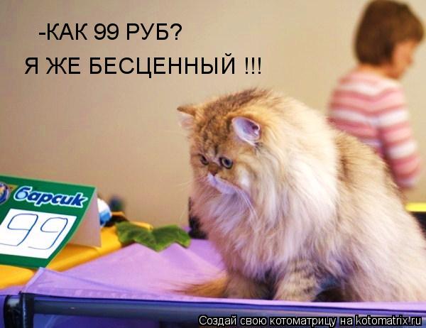 -КАК 99 РУБ? Я ЖЕ БЕСЦЕННЫЙ !!!... Котоматрица: -КАК 99 РУБ? Я ЖЕ БЕСЦЕННЫЙ !!!