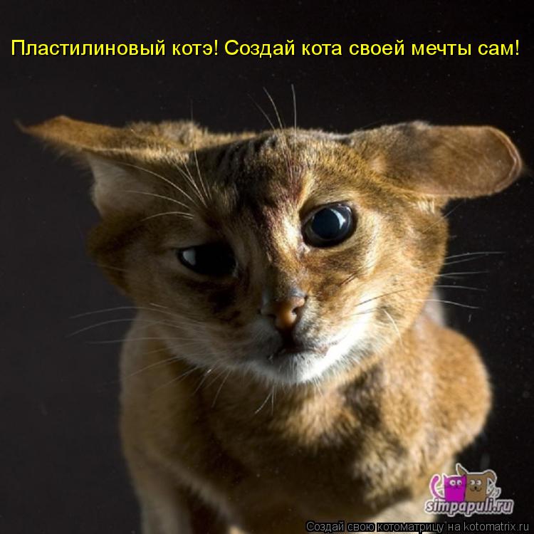 Пластилиновый котэ! Создай кота своей мечты сам!... Котоматрица: Пластилиновый котэ! Создай кота своей мечты сам!