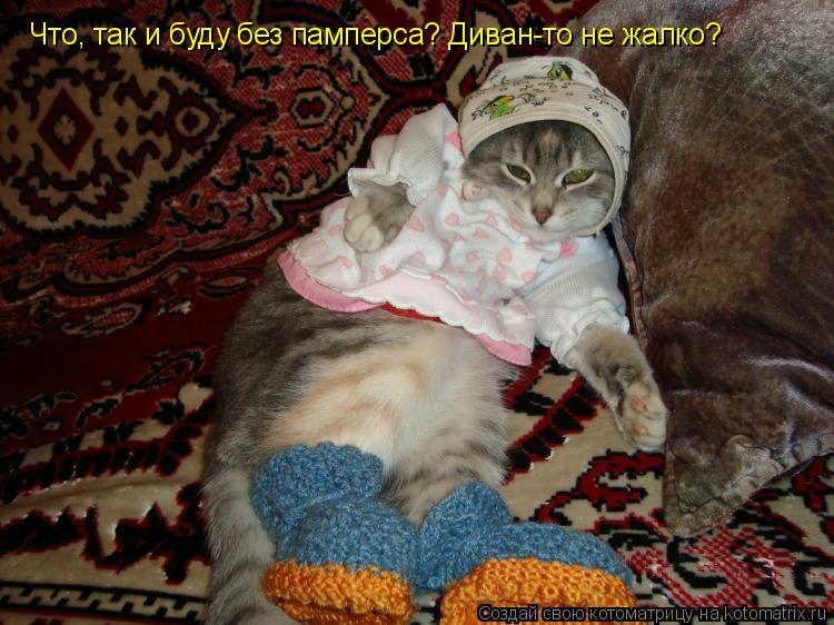 Что, так и буду без памперса? Диван-то не жалко?... Котоматрица: Что, так и буду без памперса? Диван-то не жалко?