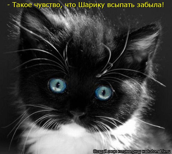 - Такое чувство, что Шарику всыпать забыла!... Котоматрица: - Такое чувство, что Шарику всыпать забыла!