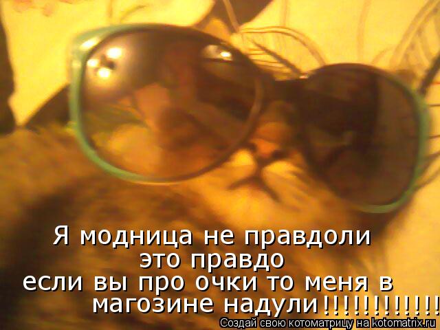 Я модница не правдоли это правдо если вы про очки то меня в магозине надули !!!!!!!!!!!!!!... Котоматрица: Я модница не правдоли это правдо если вы про очки то меня в магозине надули !!!!!!!!!!!!!!
