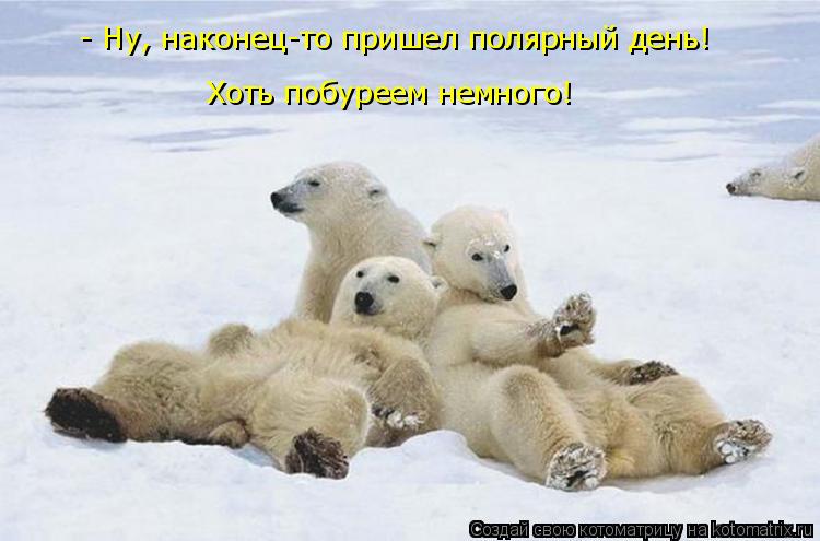 - Ну, наконец-то пришел полярный день! Хоть побуреем немного!... Котоматрица: - Ну, наконец-то пришел полярный день! Хоть побуреем немного!